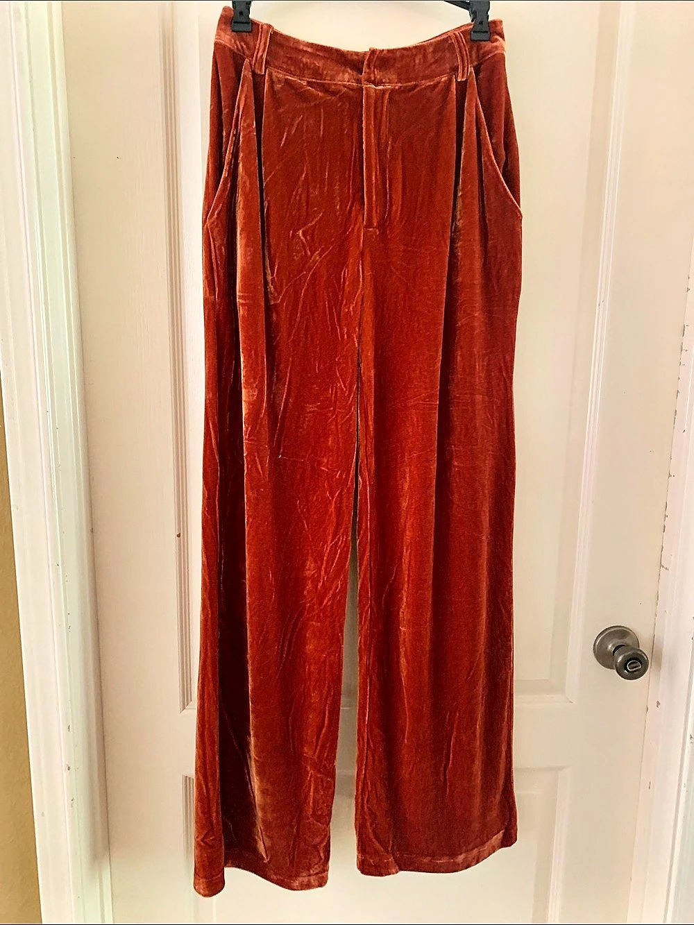 Entro Velvet Wide Leg Pants in Rust
